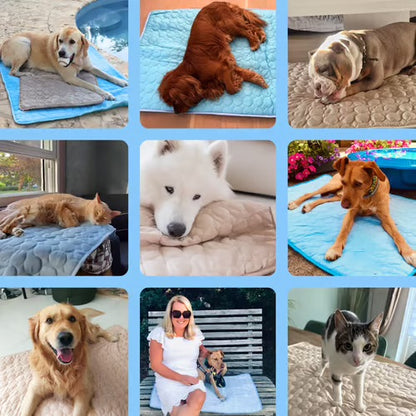 Hunde Kühlmatte
