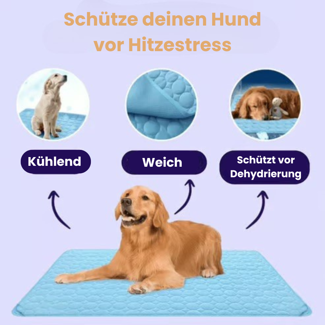 Hunde Kühlmatte